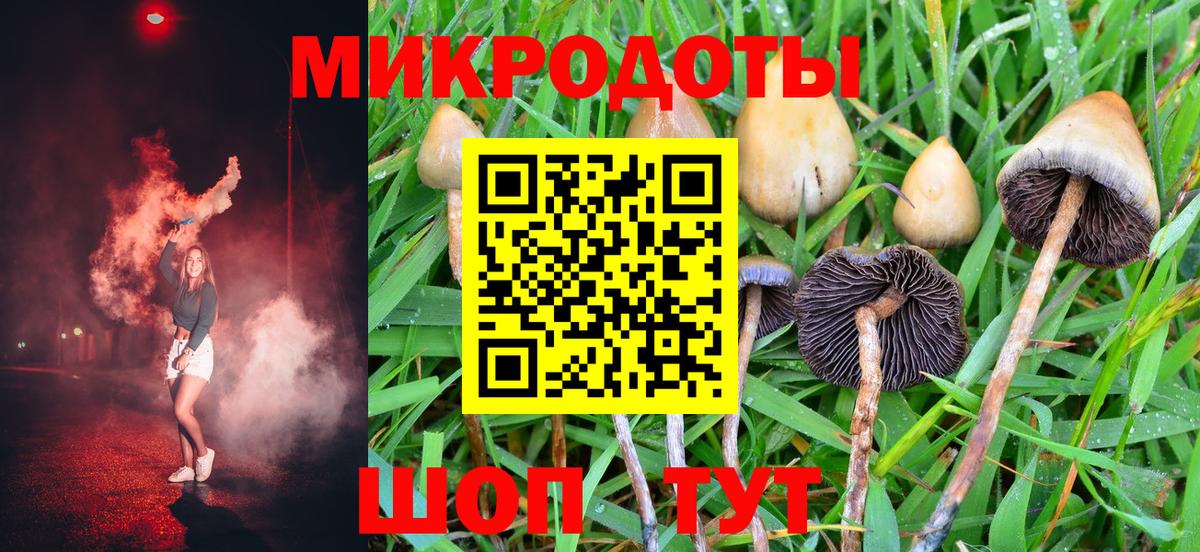 Галлюциногенные грибы Magic Shrooms  Вход с VPN  Богородицк 