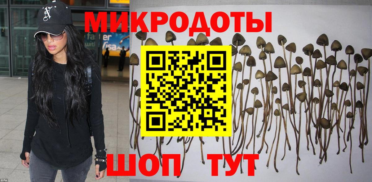 Галлюциногенные грибы Psilocybe Богородицк